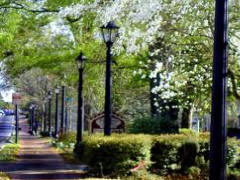 City of Roswell, GA